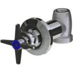 Chicago Faucets Wall Valve
