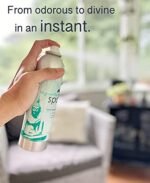 AP Fragrance Mediterranean Water Spray - Image 6