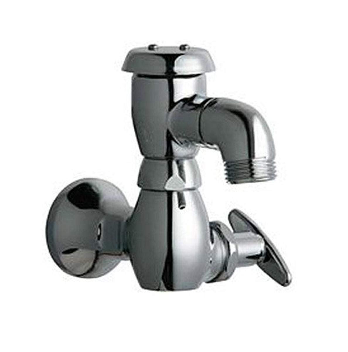 51Yq6HvgOiL.jpg Chicago Faucets Wall Mount Service Sink Faucet - Image 1